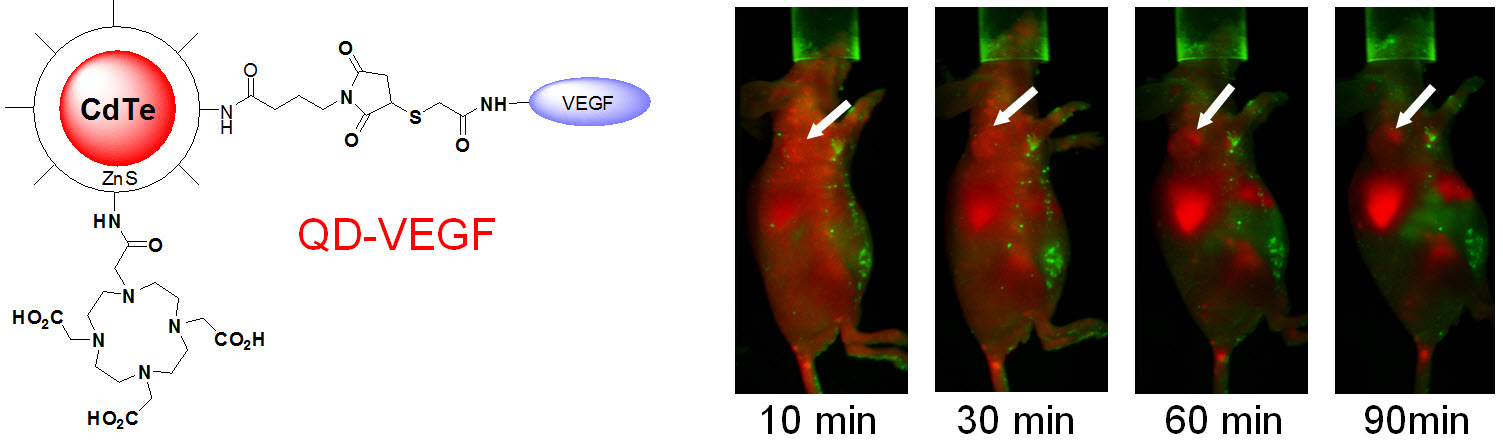 Figure 15